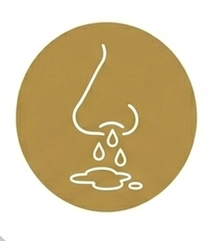 Sangrado Nasal (Epistaxis)