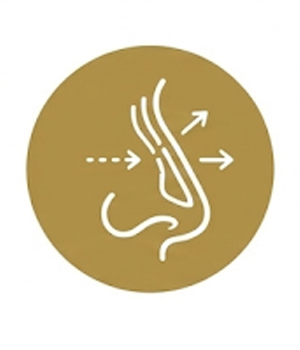 Septoplastía (Tabique Desviado)