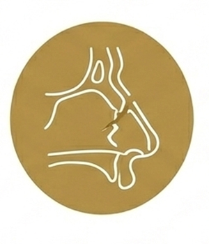 Traumatismos Nasales